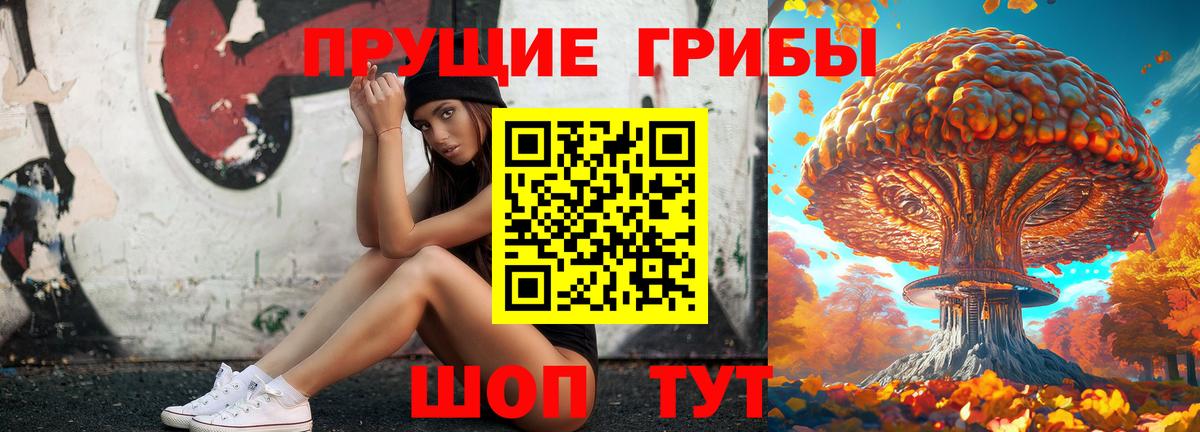 Гатчина  купить наркотик  Вход с VPN  Галлюциногенные грибы ЛСД 