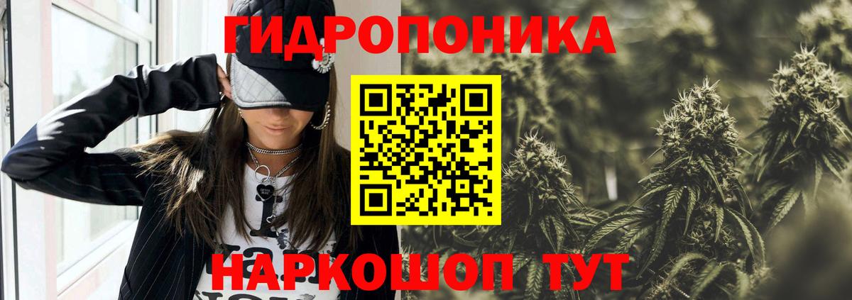 Канабис семена Гатчина